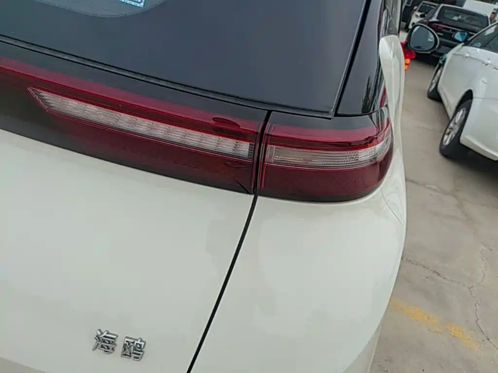 BYD Seagull 2026 2025 Smart Drive Edition 305km Vitality Version