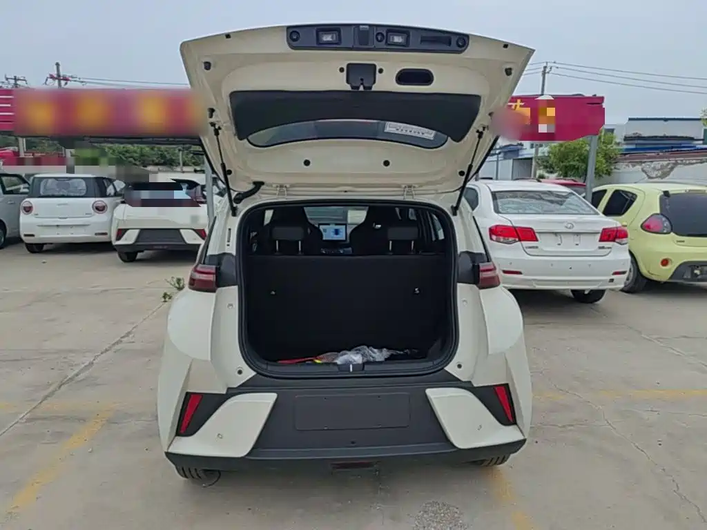 BYD Seagull 2026 2025 Smart Drive Edition 305km Vitality Version