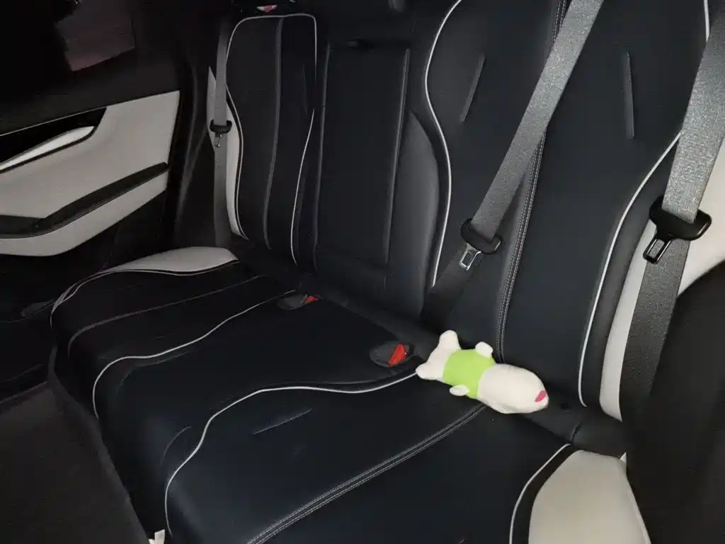 BYD Qin PLUS 2021 DM-i 55KM Flagship фото 14