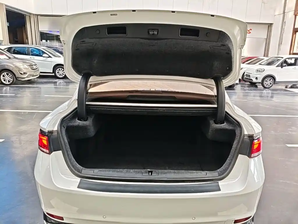 Geely Borui 2021 2021 1.8T Pilot Edition+