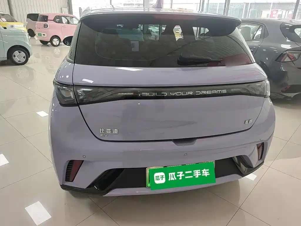 Фото 6 - BYD Dolphin