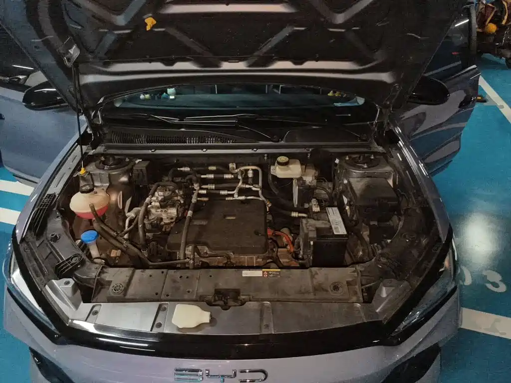 BYD e2 2023 2023 Luxury Model