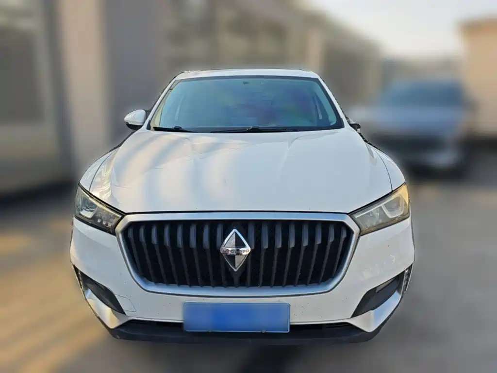 Photo 23 - Borgward BX5