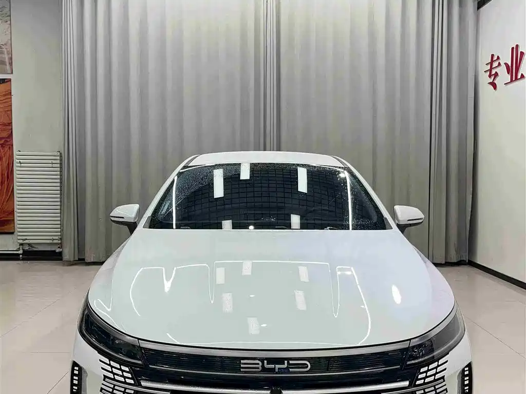 BYD Destroyer 05 2024 Glory Edition DM-i 55KM Luxury фото 2