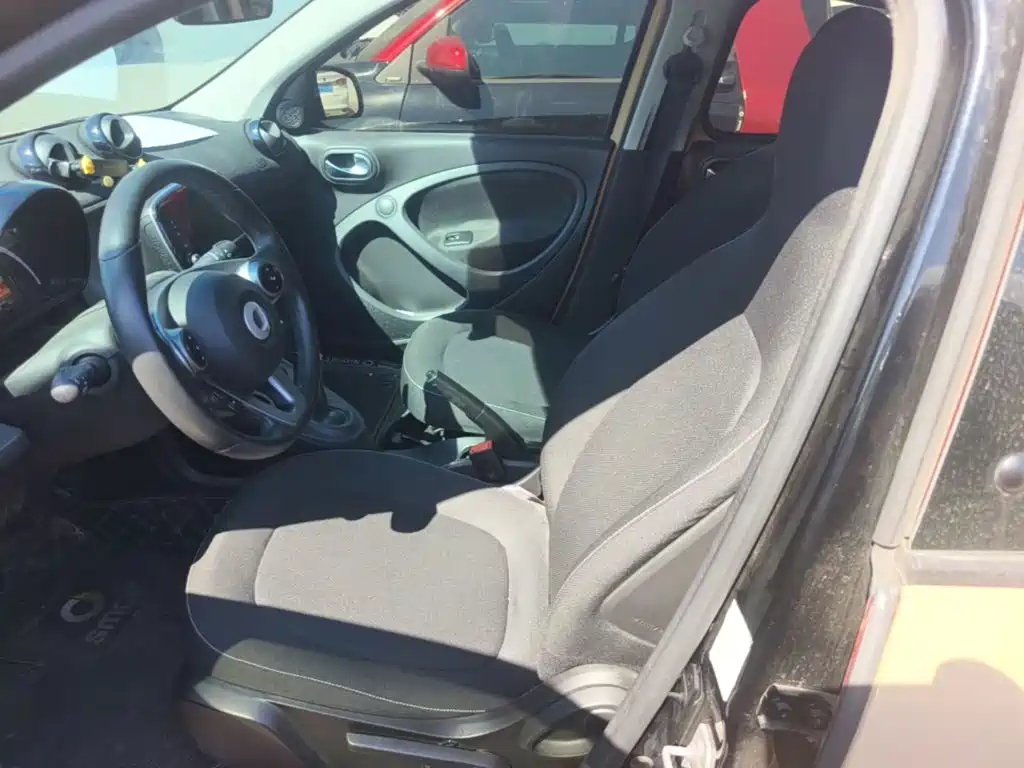 Фото 15 - smart forfour