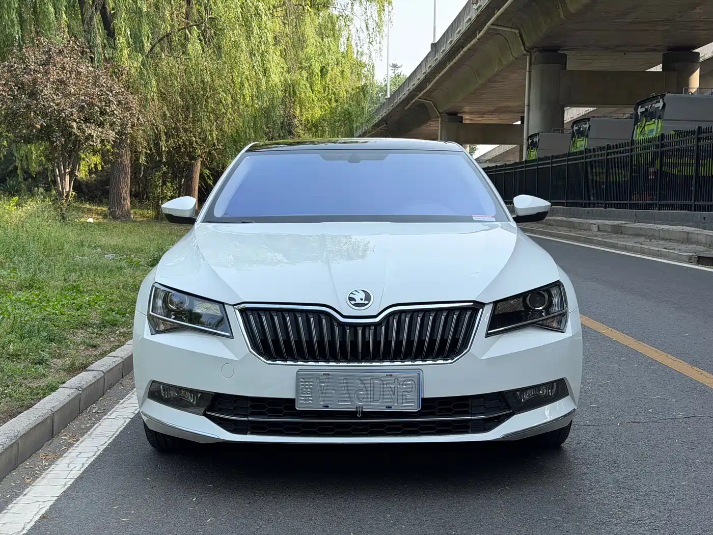 Škoda Superb 2016 TSI330 DSG Pioneer Edition фото 2