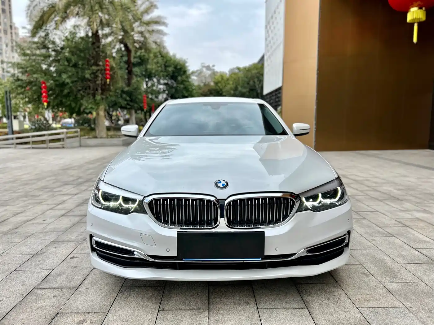 BMW 5 Series 2019 Facelift 530Li xDrive Luxury Package фото 2