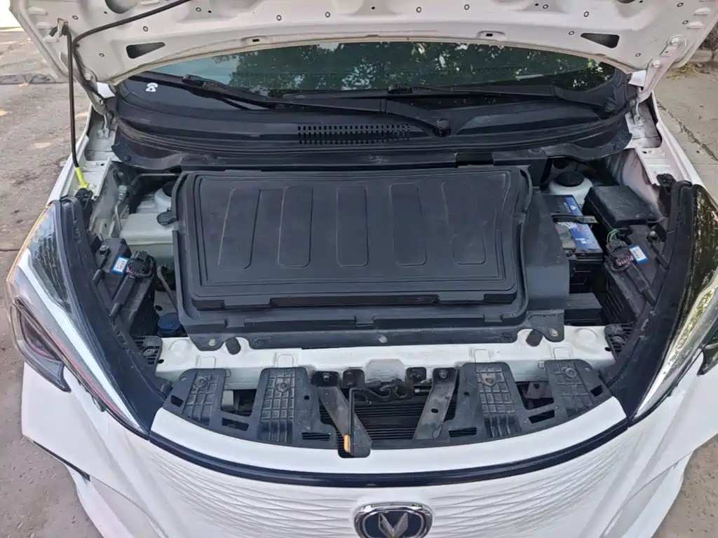 Changan Benben E-Star 2021 2020 Heartbeat Edition (NMC Battery)