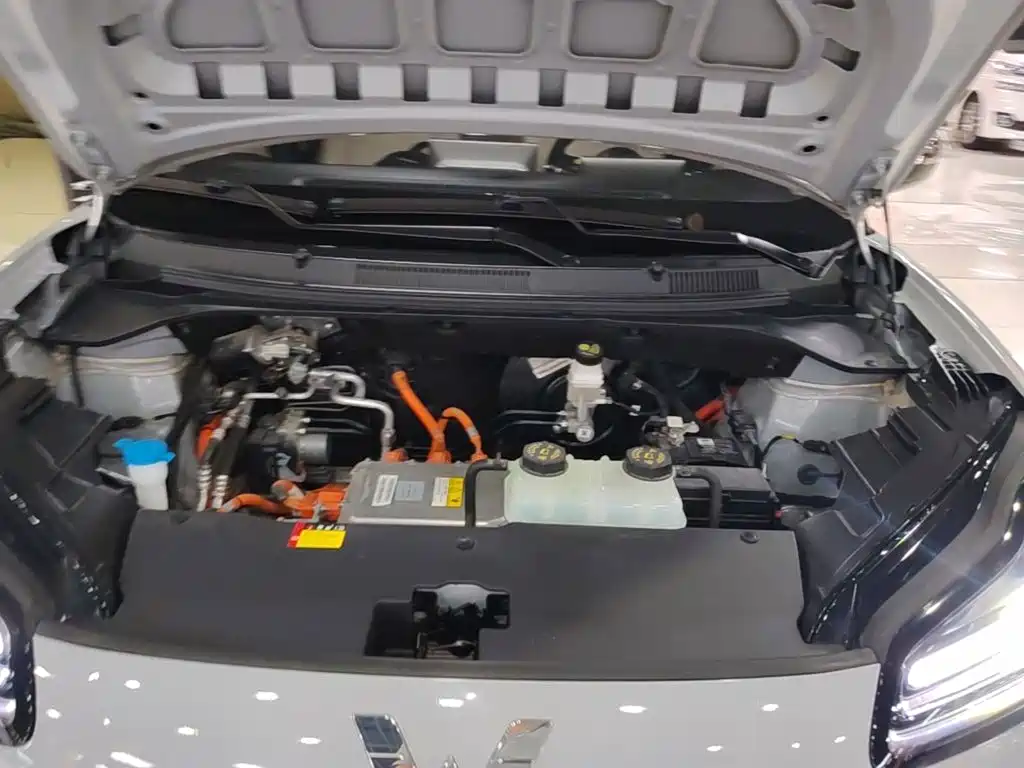 Wuling Motors Wuling Binguo PLUS 2025 2024 510km Range 5-seater