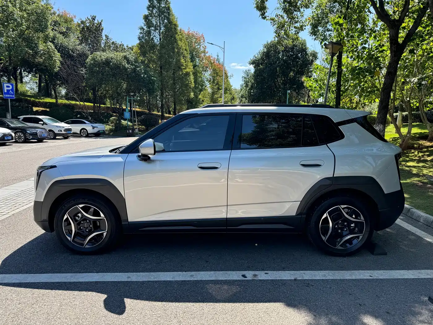 Dongfeng Yipai Nano 06 2025 2025 471 Ultra