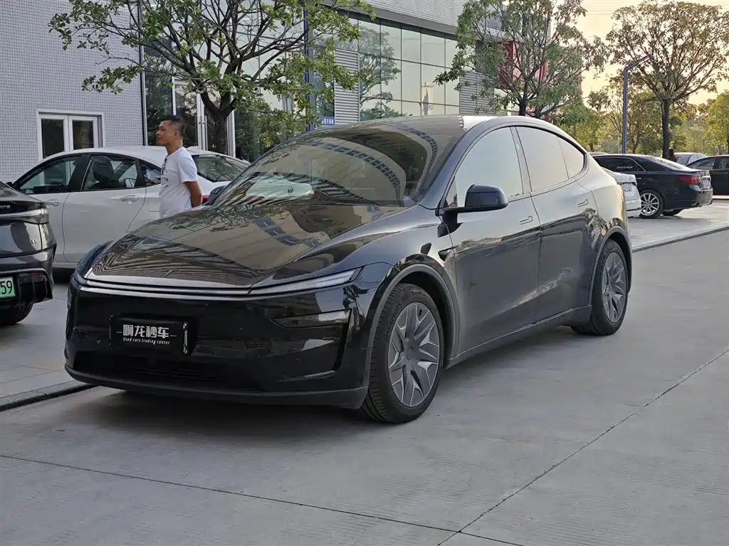 Tesla Model Y L, 2025 год