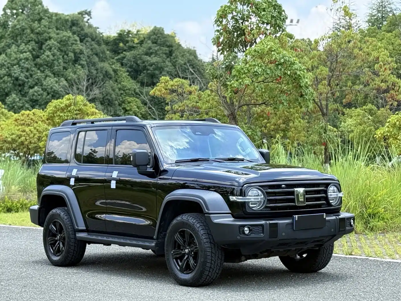 Tank 300 2021 2021 Off-road Version 2.0T Conqueror