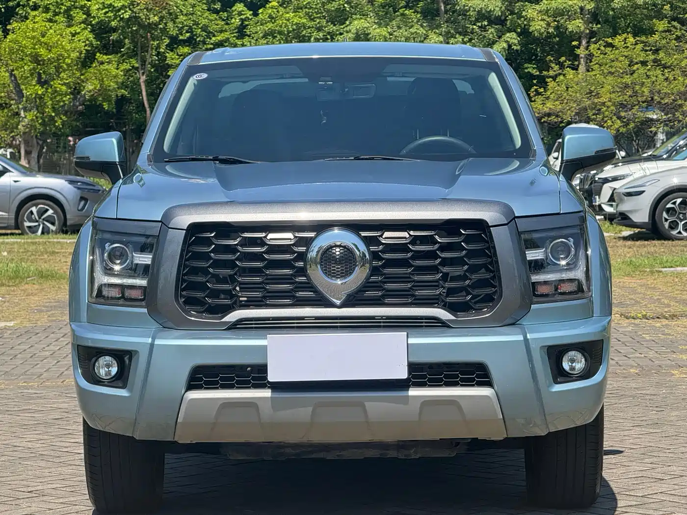 Great Wall King Kong Cannon 2025 2024 2.0T Manual Gasoline 2WD Startup Standard Bed