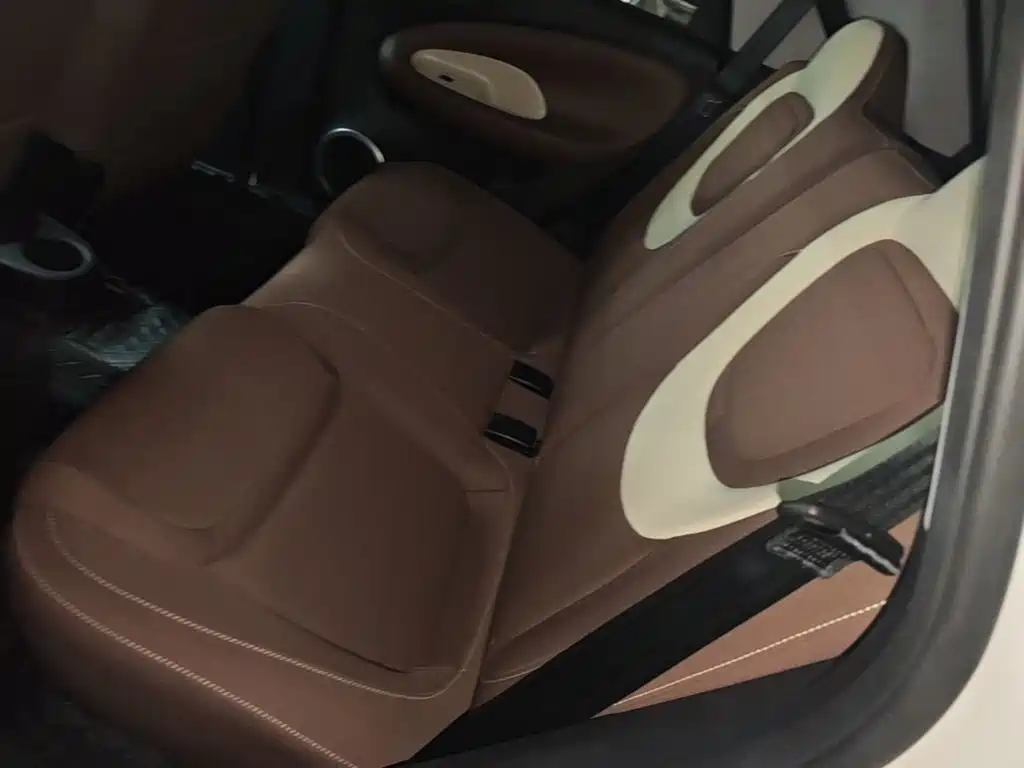 Wuling Motors Wuling Bingo 2026 2025 Model 203km Light Enjoyment