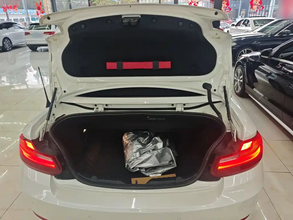 BMW 2 Series (Import) 2016 2015 218i Convertible Coupe