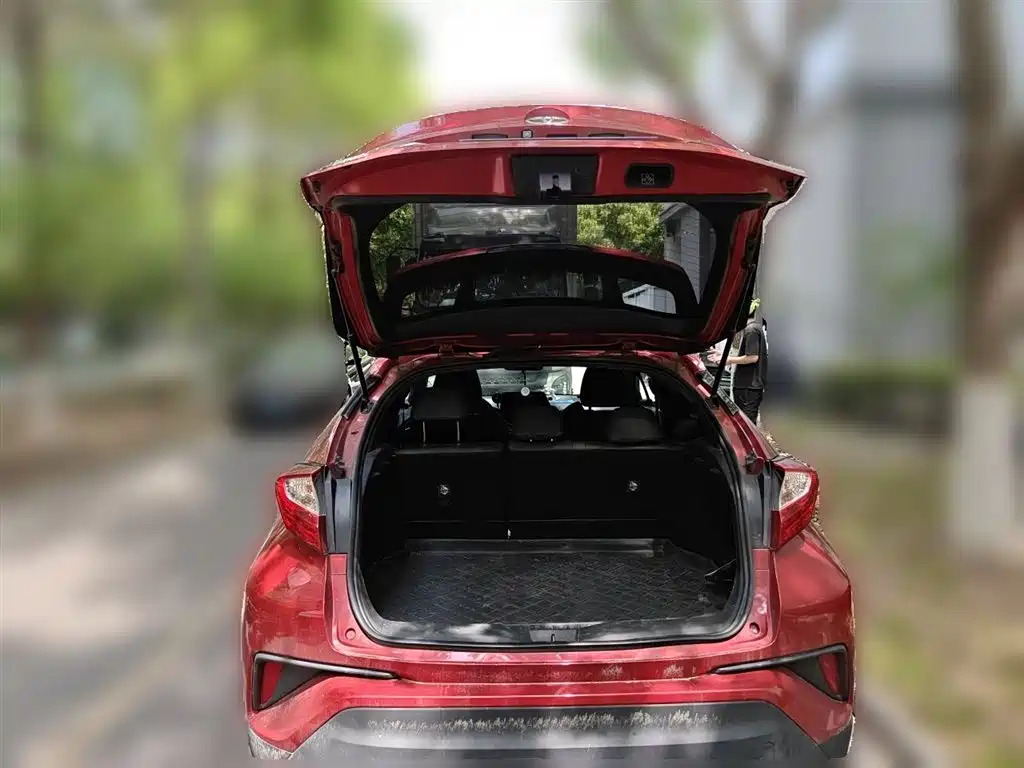 Toyota C-HR 2018 2.0L Leading Edition China VI фото 10