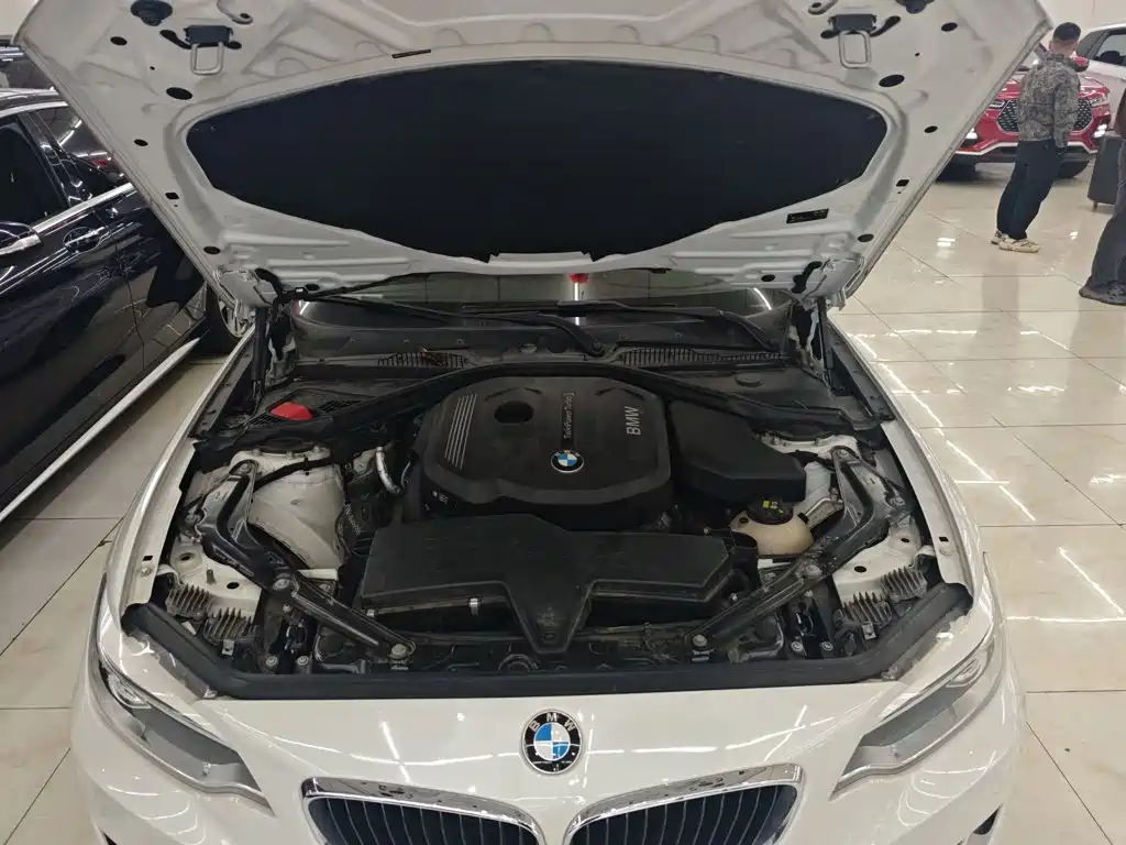 BMW 2 Series (Import) 2016 2015 218i Convertible Coupe