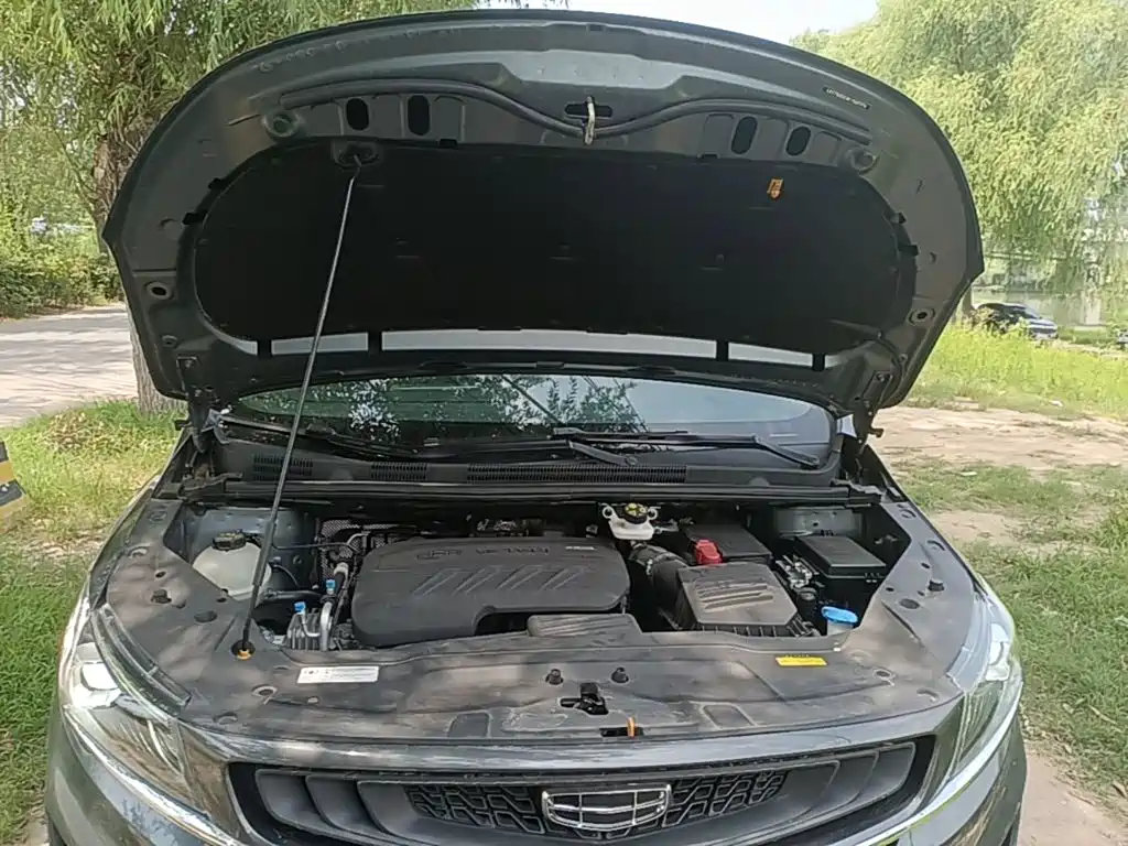 Фото 20 - Geely Jiaji
