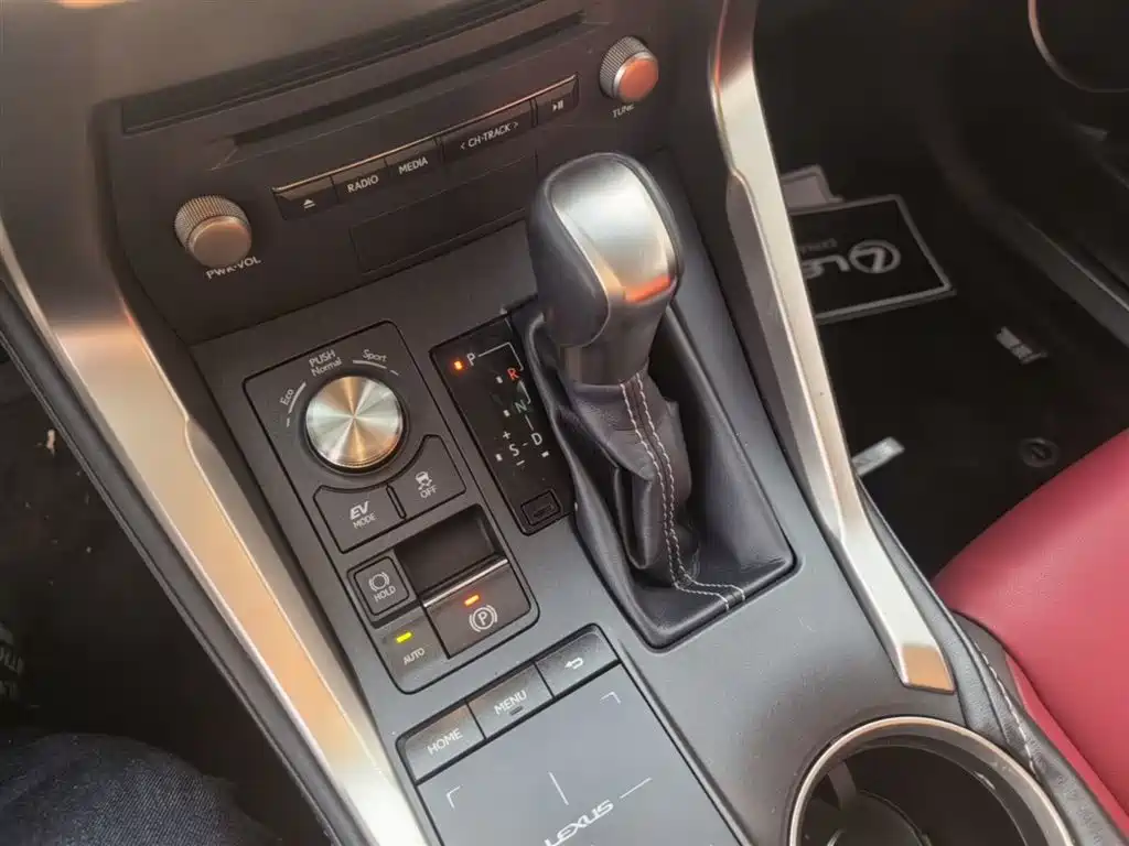 Lexus NX 2018 Model 300h FWD Fengshang Edition China V фото 14