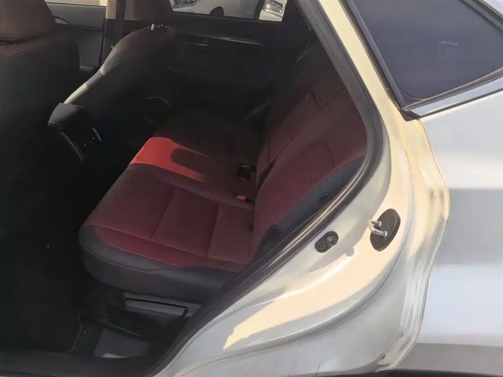 Lexus NX 2018 Model 300h FWD Fengshang Edition China V фото 17