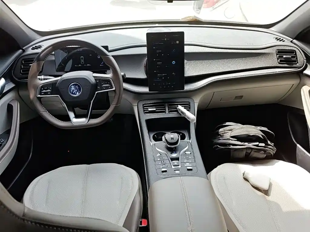 BYD Qin PLUS 2024 Glory Edition DM-i 55KM Leading фото 10