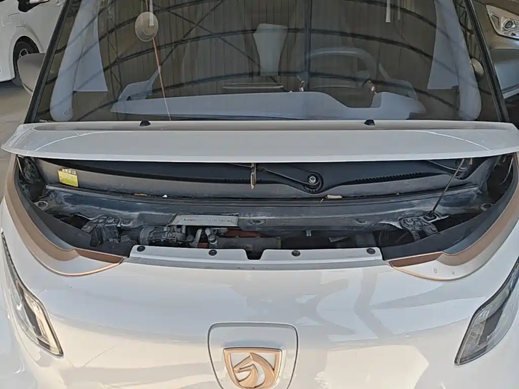 Baojun E200 2020 2020 305KM Smart Edition