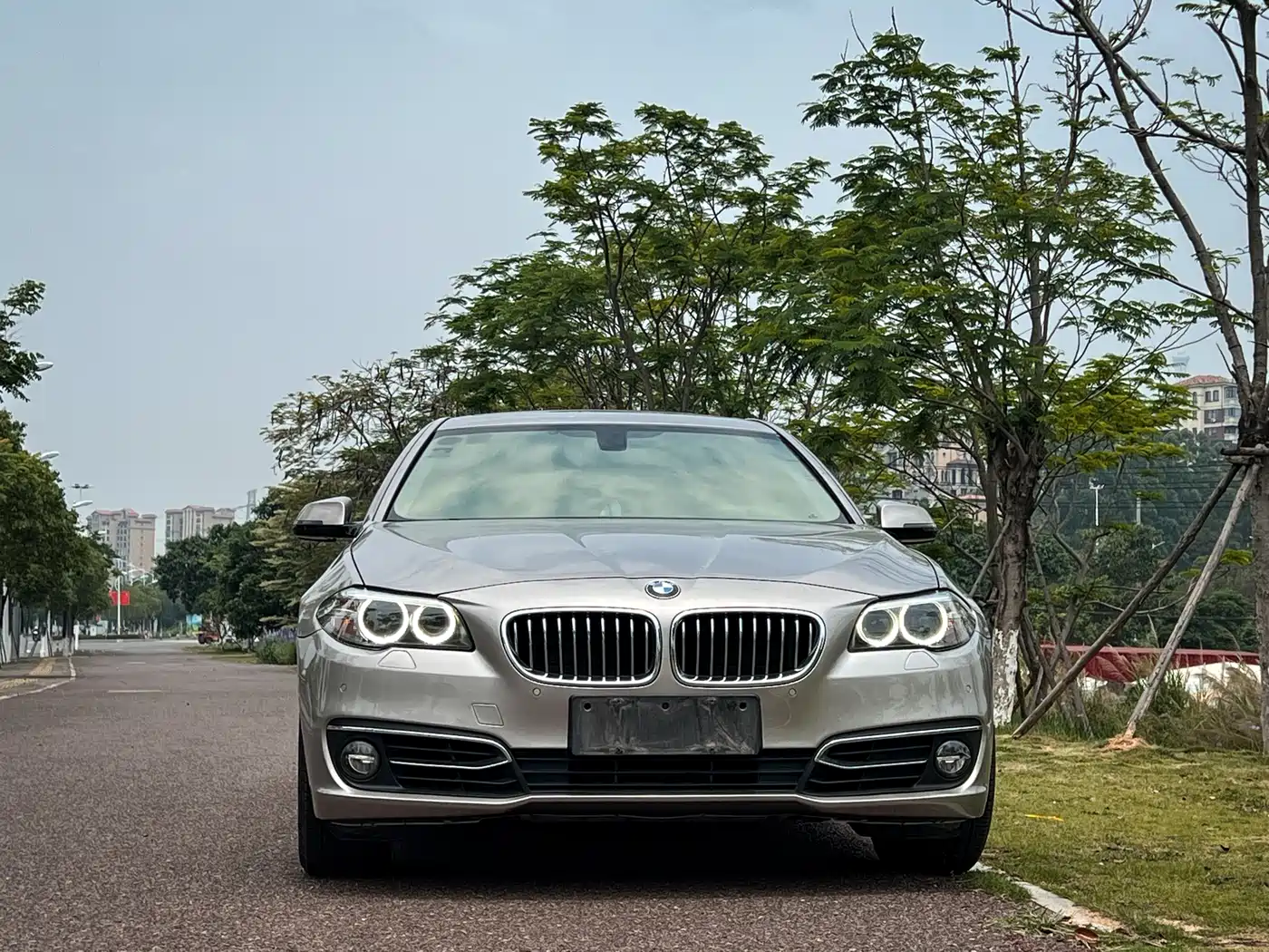 BMW 5 Series 2014 525Li Luxury Design Package фото 2