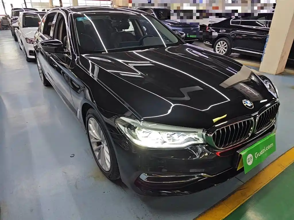 BMW 5 Series 2020 530Li Leading Luxury Package фото 4