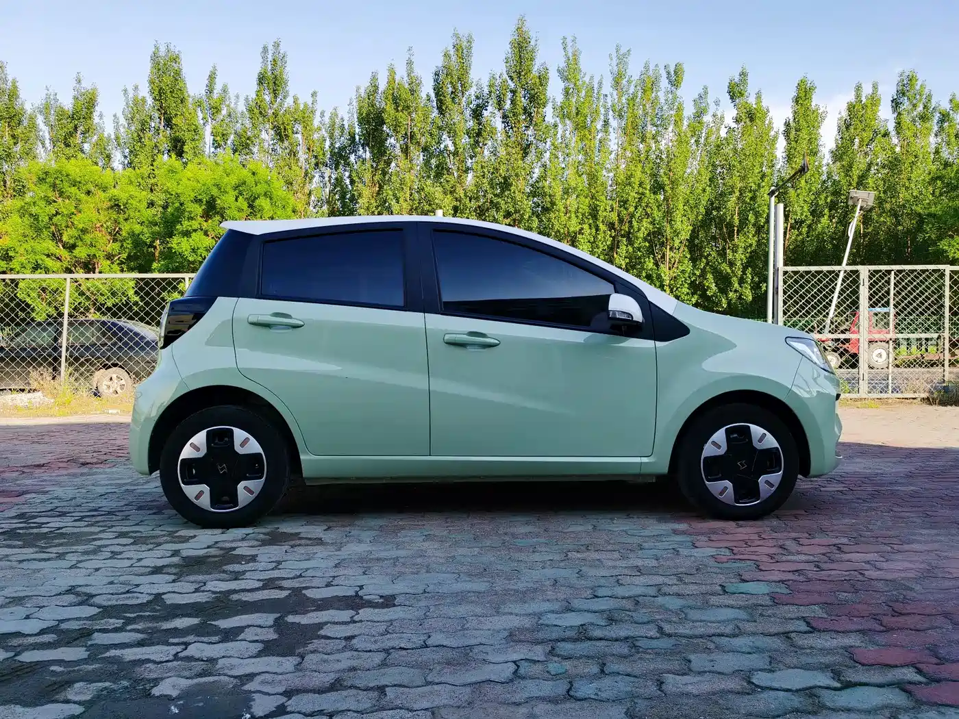 Sehol Flower Fairy 2023 2023 Anniversary 301km Four-Leaf Clover 36kW