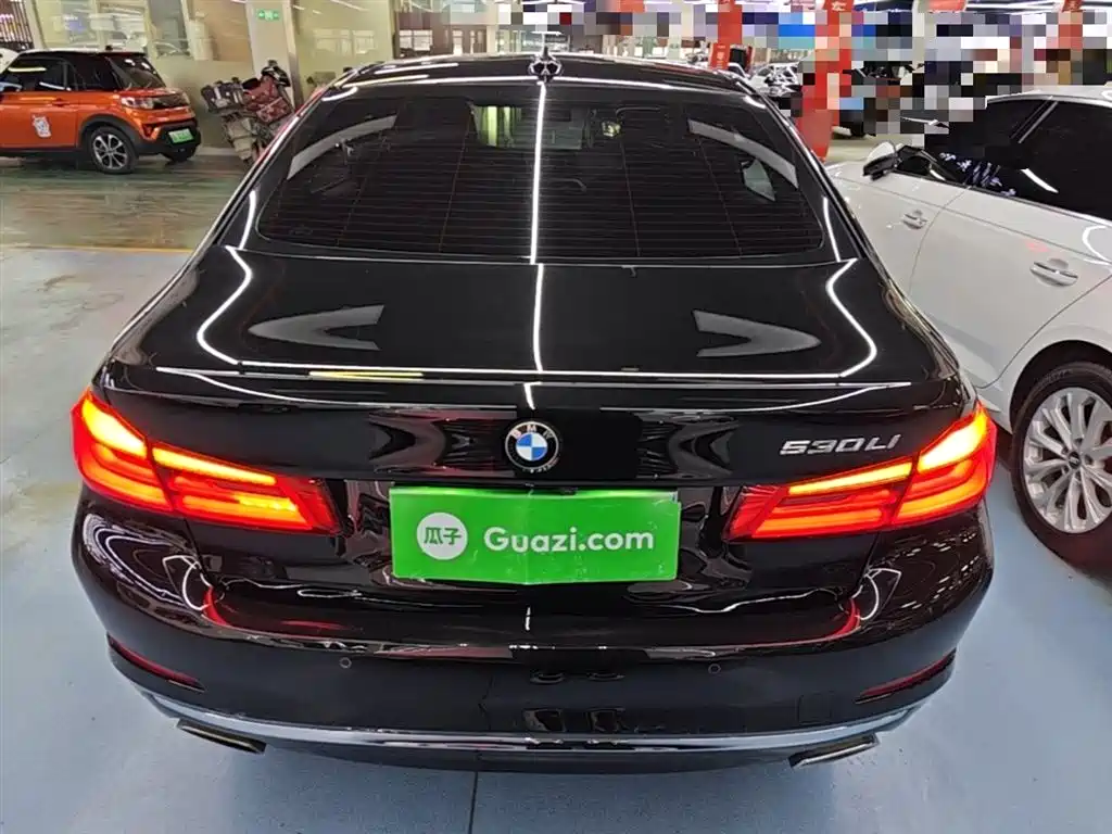 BMW 5 Series 2020 530Li Leading Luxury Package фото 6