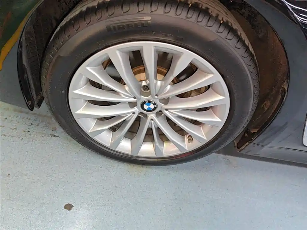 BMW 5 Series 2020 530Li Leading Luxury Package фото 23
