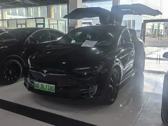 Tesla Model X 2019