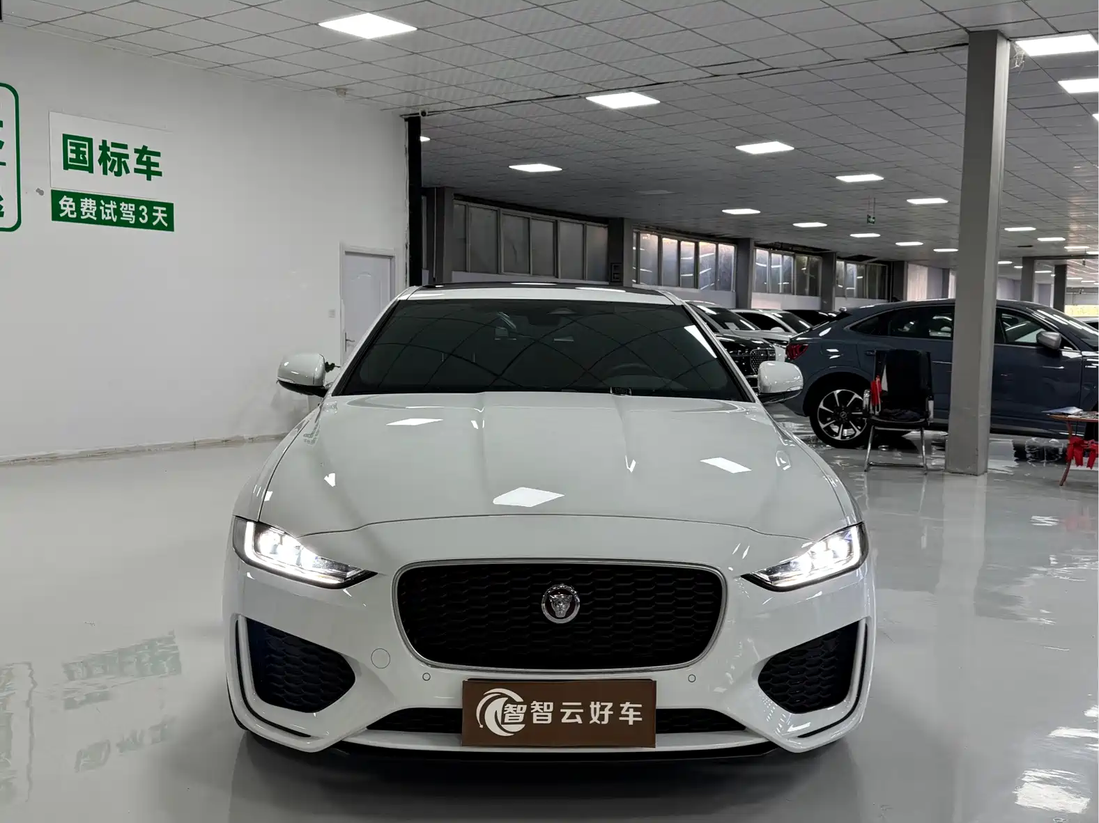 صورة 2 - Jaguar XEL