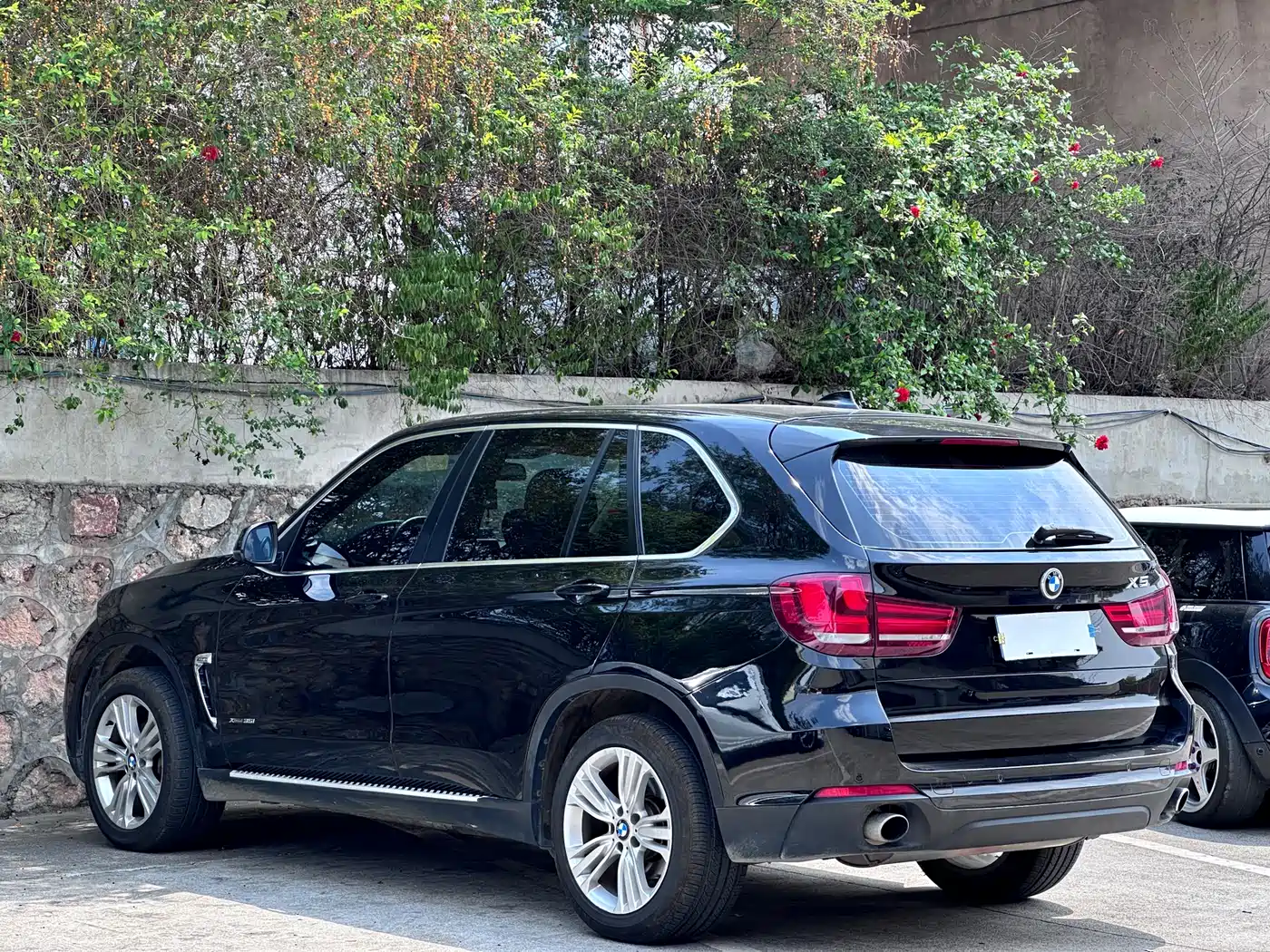 BMW X5 (Import) 2014 xDrive35i Leading фото 5