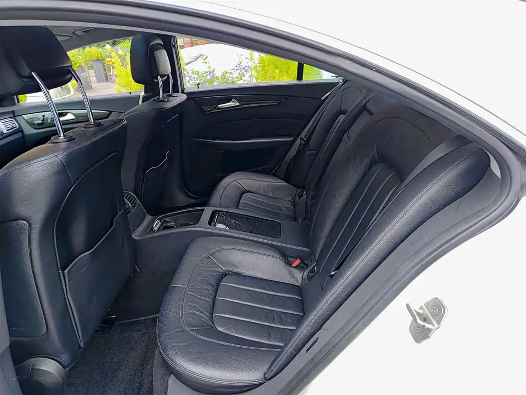 Mercedes-Benz CLS 2012 CLS 300 CGI фото 8