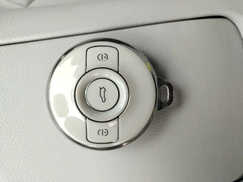 smart Elf #1 2023 2022 Pro+ Edition