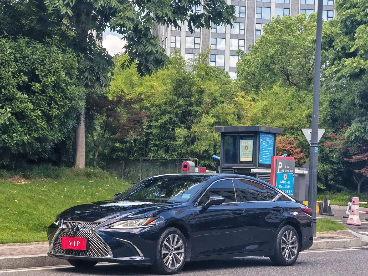Lexus ES 2018 200 Excellence Edition China V