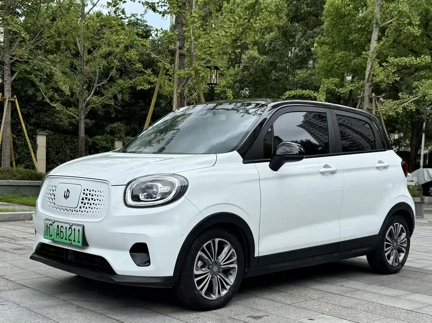 Leapmotor T03 2020 2020 400 Luxury Edition