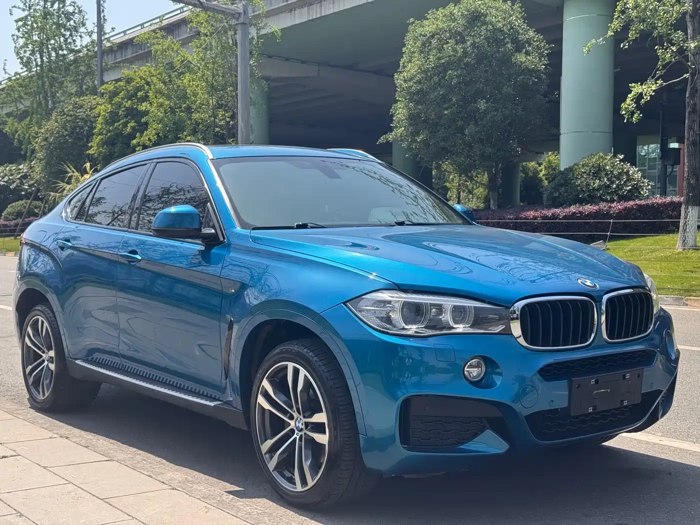BMW X6 2018 xDrive35i M Sport Luxury Model фото 3