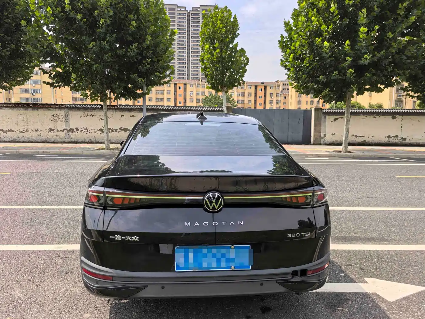 Volkswagen Magotan 2024 2024 300TSI DSG Premium Edition