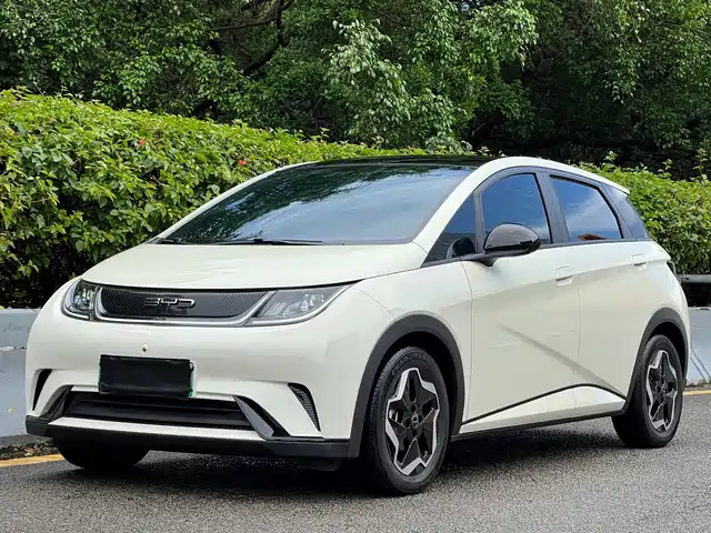 BYD Dolphin 2022