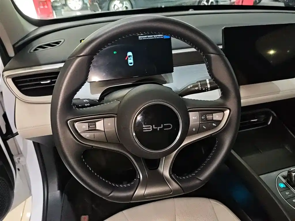 BYD Hai Bao 05 DM-i 2025 DM-i Smart Drive Edition 55KM Luxury фото 3