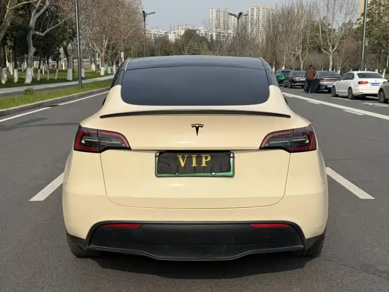 Фото 5 - Tesla Model Y