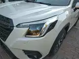 Photo 24 - Subaru Forester