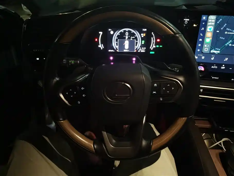 Lexus RX New Energy 2023 450h+ 4WD Enjoyment фото 15