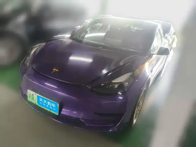 Tesla Model 3 2021 Standard Range Rear-Wheel Drive Upgrade — фото 1