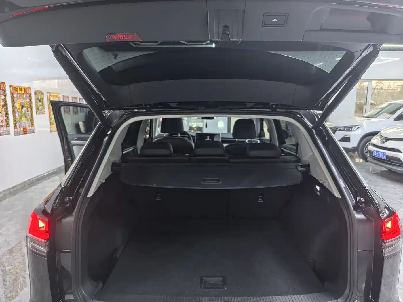 VOLKSWAGEN TANYUE