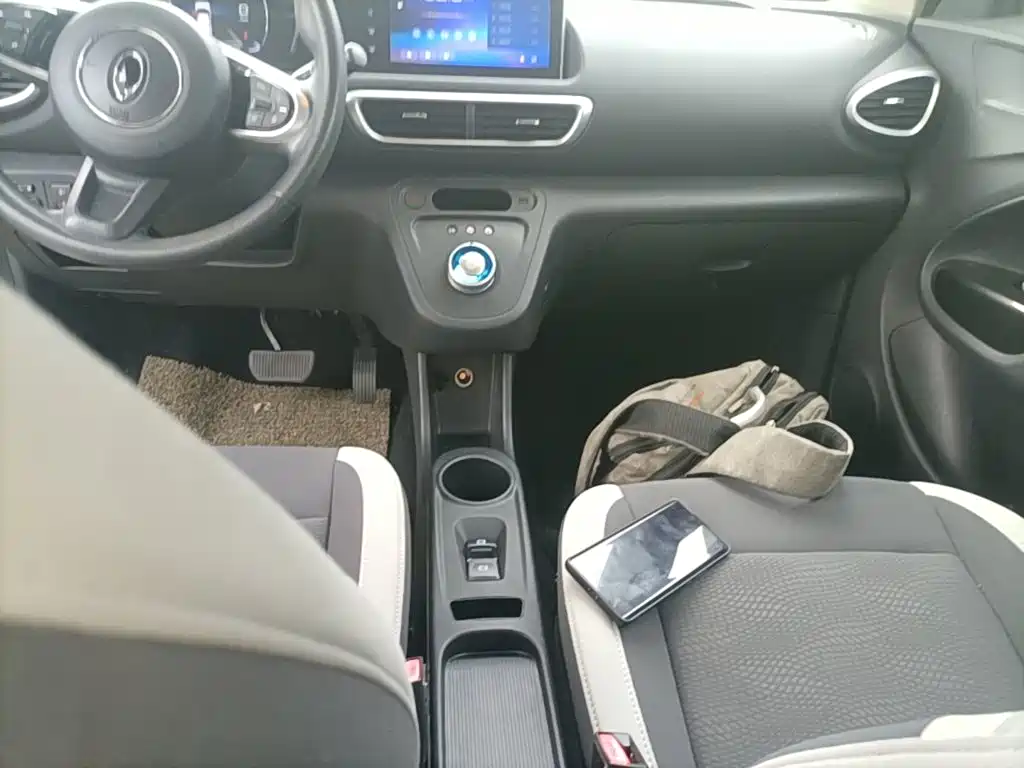 Ora White Cat 2020 2020 360km Luxury Model