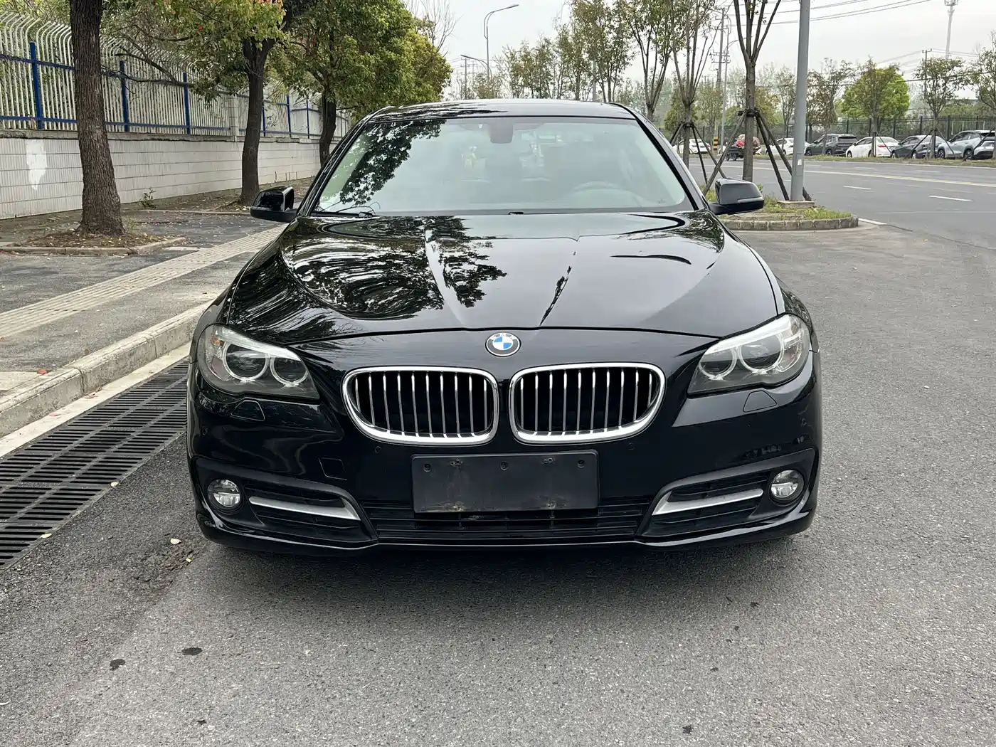 BMW 5 Series 2017 525Li Leading Edition фото 12