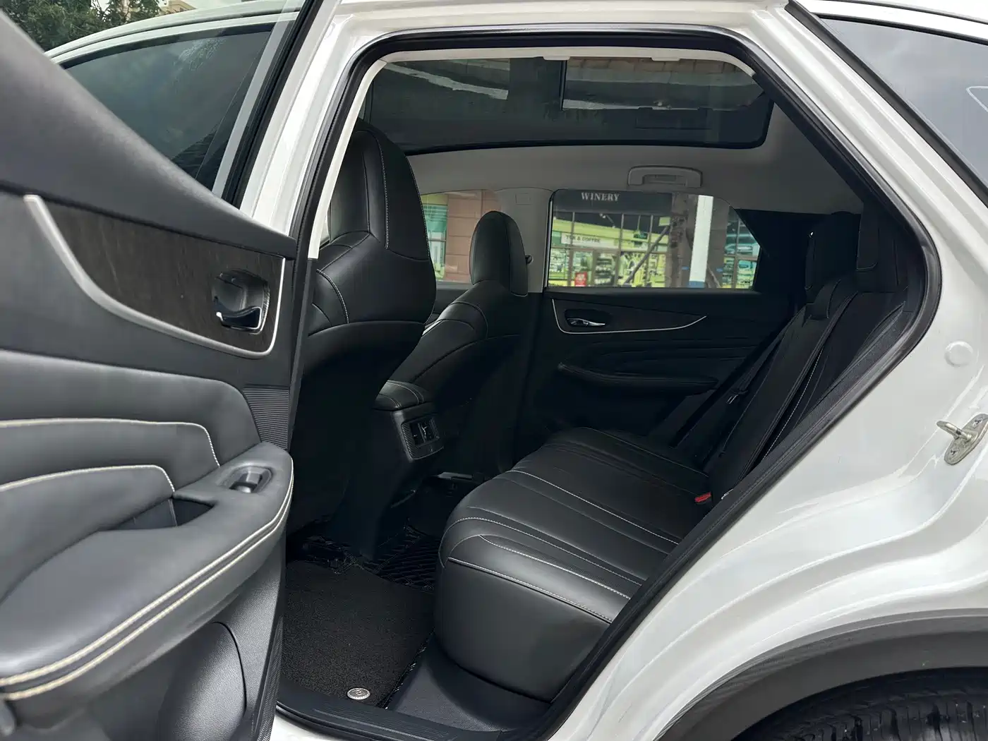 Venucia Big V 2022 2022 260T Dark Horse Edition·Idol